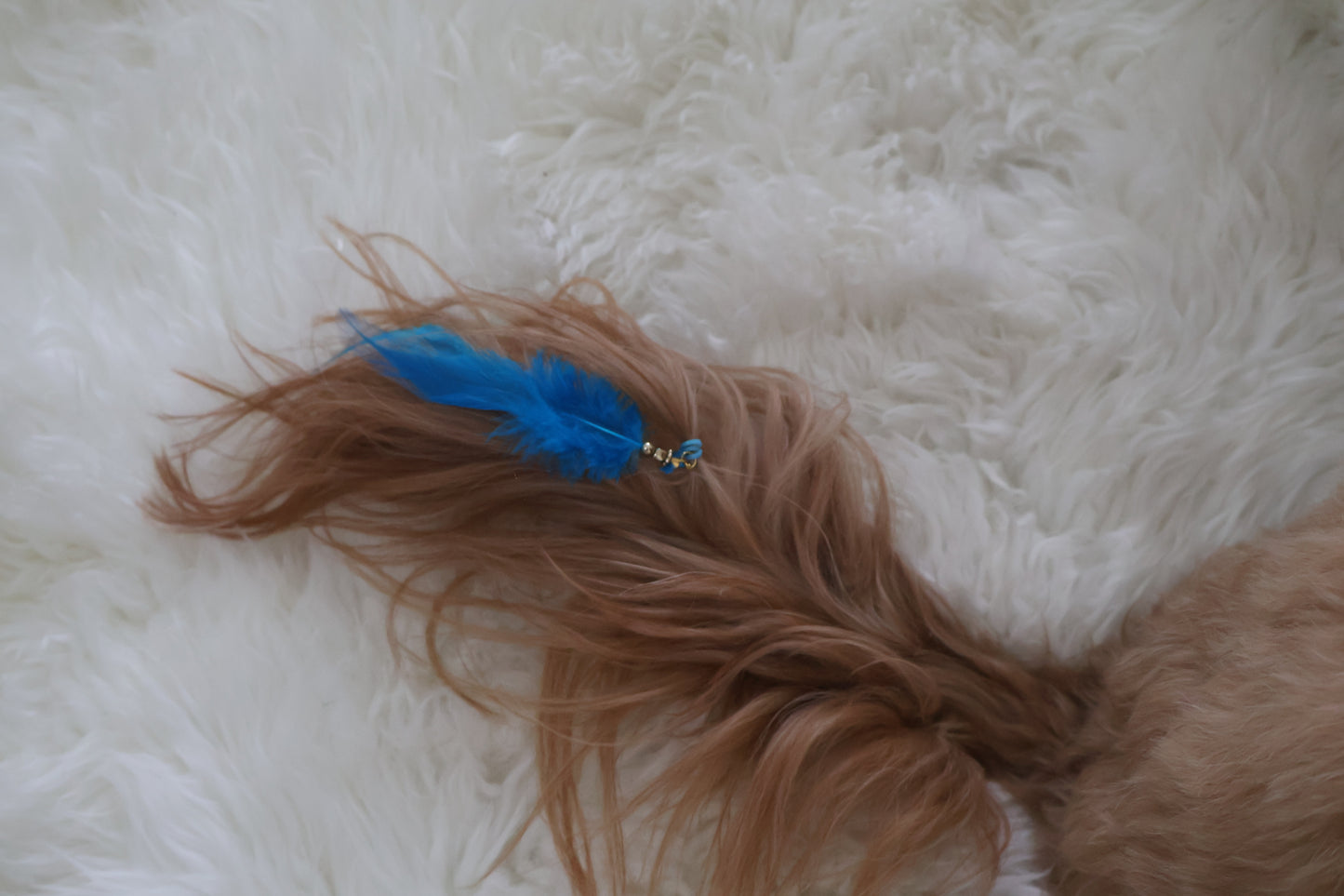 Boho Blue by Plume (2 Feathers)